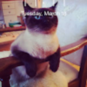 Meet your Posher, Ursula